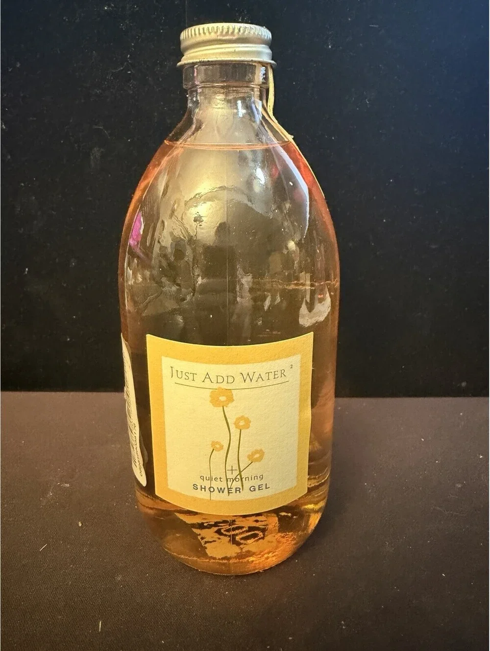 ARCHIVE Shower Gel Just Add Water Quiet Morning New